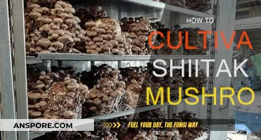 Grow Shiitake Mushrooms: A Step-by-Step Guide for Beginners