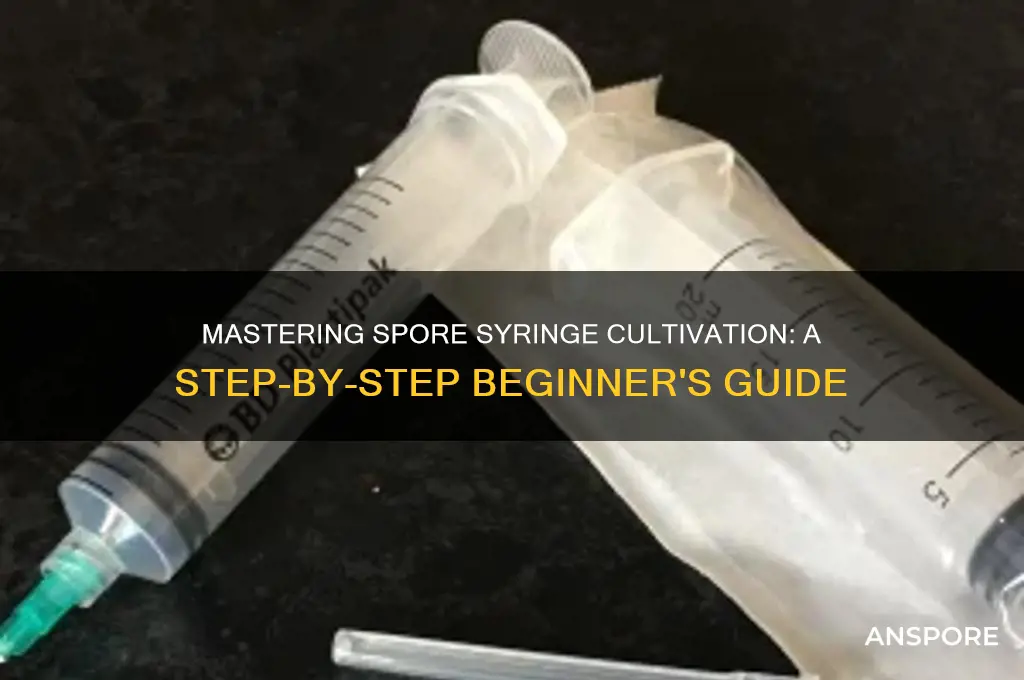 how to cultivate spore syringe