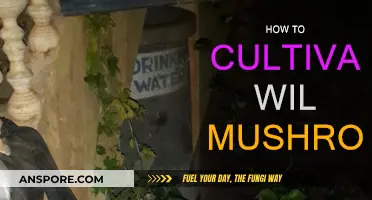 Grow Wild Mushrooms: A Beginner's Guide