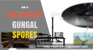 Mastering Fungal Cultivation: A Guide to Growing Spores Successfully