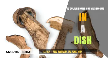 Reviving Dried Mushrooms: Simple Techniques for Flavorful Dish Cultivation