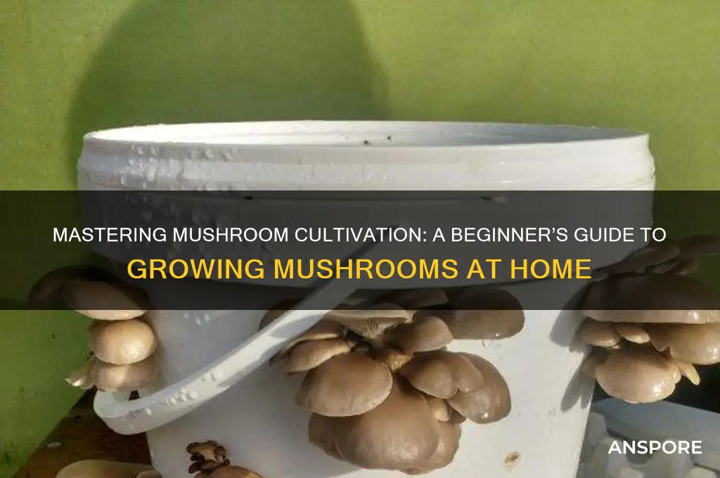 how to culture mushroom at home