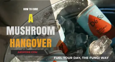 Effective Remedies to Cure a Mushroom Hangover and Feel Better Fast