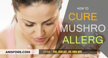 Treating Mushroom Allergies: Effective Solutions and Tips