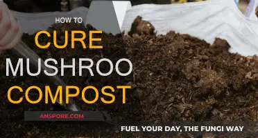 Curing Mushroom Compost: Steps for Success