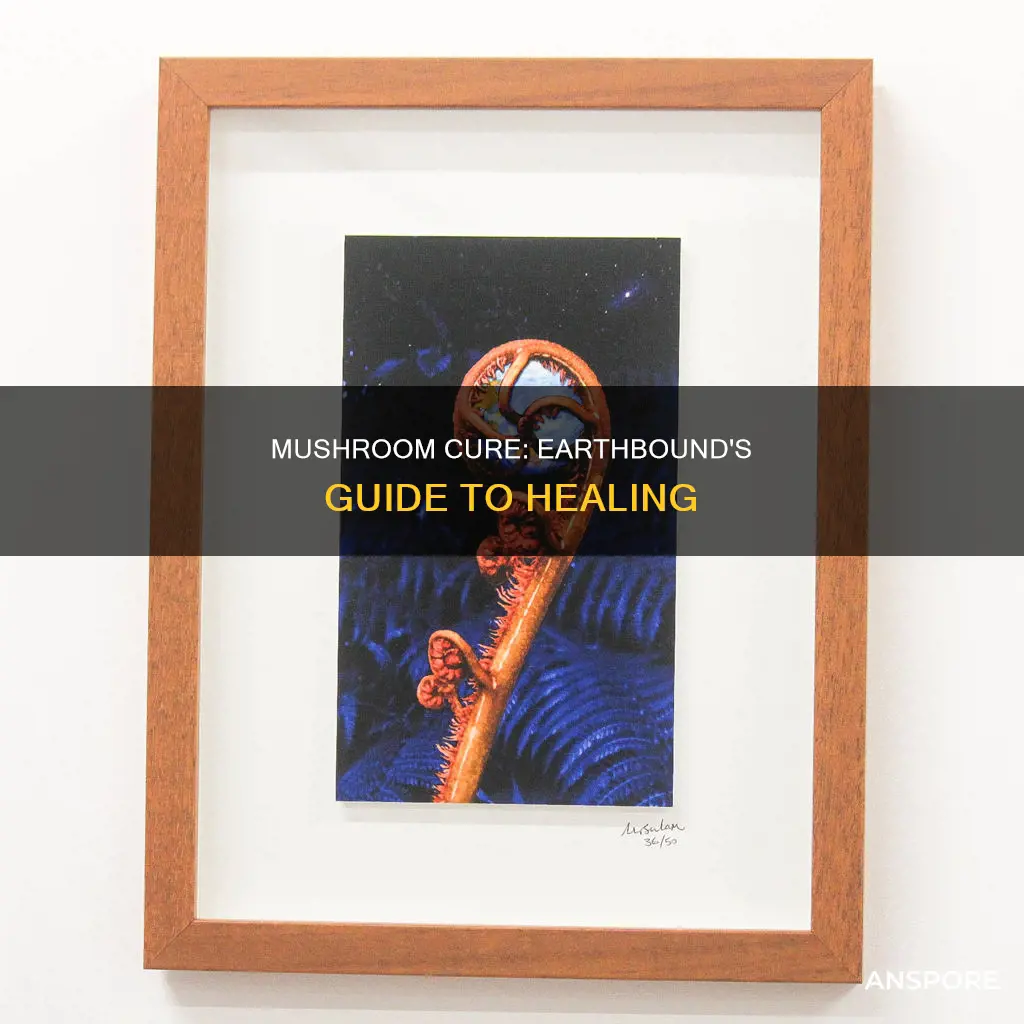 how to cure mushroom earthbound