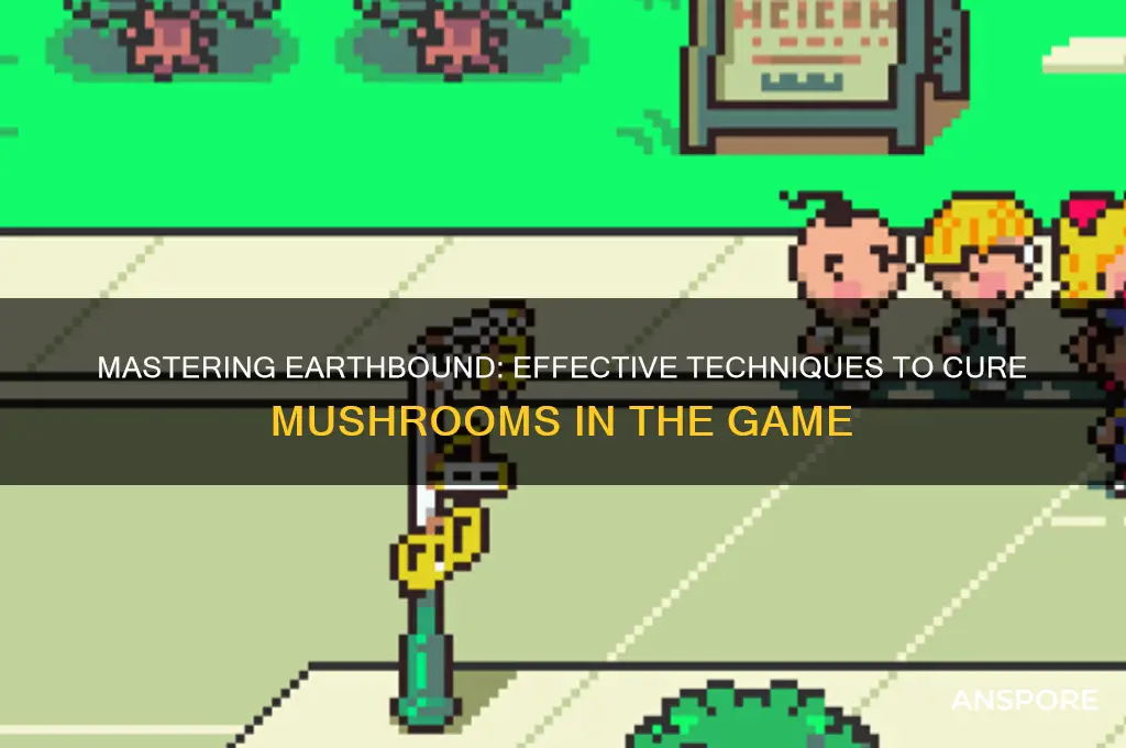 how to cure mushroom in earthbound