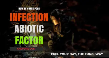 Effective Abiotic Strategies to Cure Stubborn Spore Infections Naturally