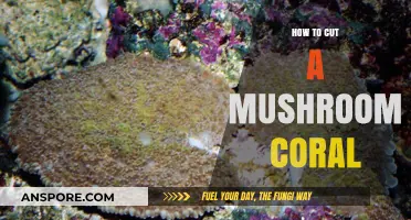 Mastering Mushroom Coral Cutting: A Step-by-Step Guide for Beginners