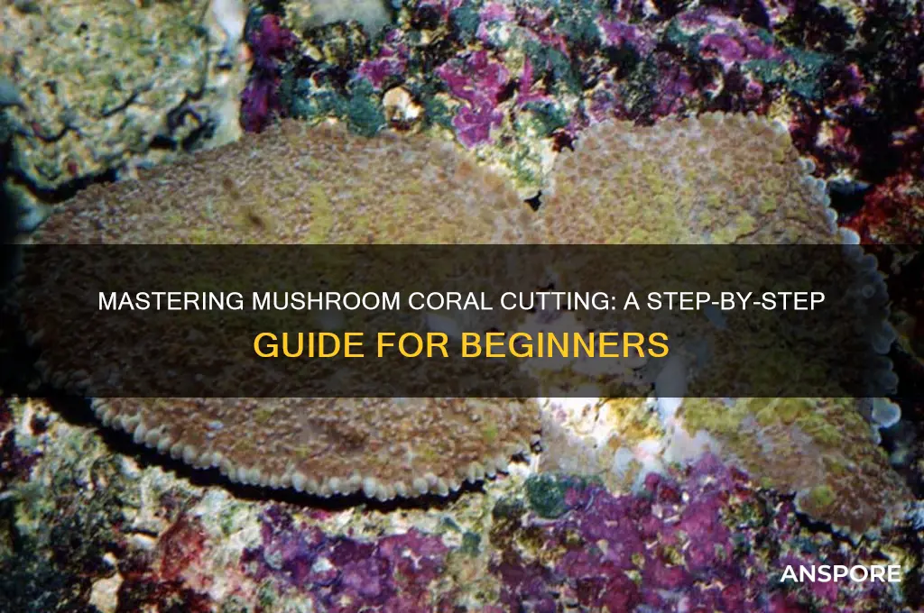 how to cut a mushroom coral