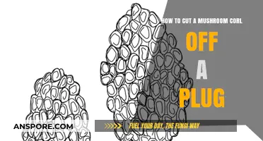 Mastering Mushroom Cultivation: Cutting a Corel from a Plug