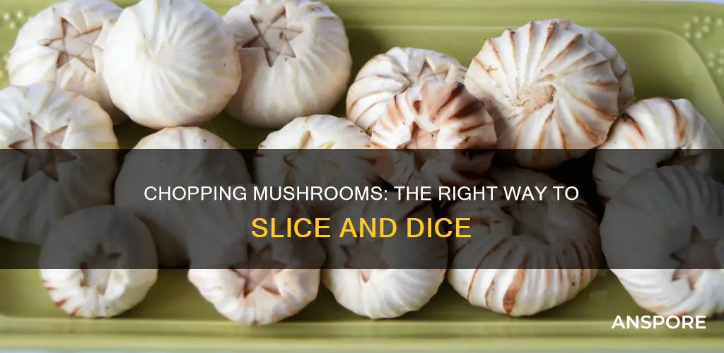 how to cut a mushrooms