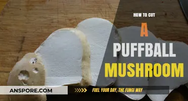 Mastering the Art of Cutting Puffball Mushrooms: A Step-by-Step Guide