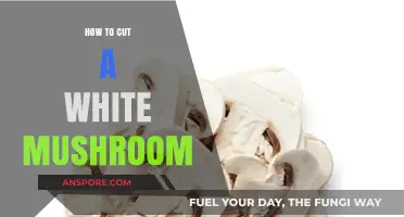 Mastering the Art of Slicing White Mushrooms: A Step-by-Step Guide