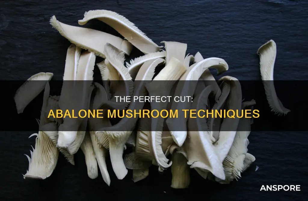 how to cut abalone mushroom
