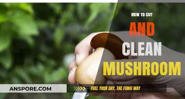 Mastering Mushroom Prep: Easy Cutting and Cleaning Techniques for Freshness