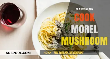 Mastering Morel Mushrooms: Cutting and Cooking Techniques for Perfect Dishes