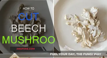 Beech Mushrooms: Cutting and Slicing Techniques