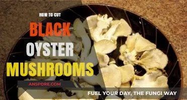 Mastering the Art of Cutting Black Oyster Mushrooms: A Step-by-Step Guide