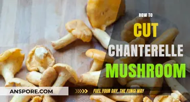 Chanterelle Mushrooms: Cutting and Slicing Techniques
