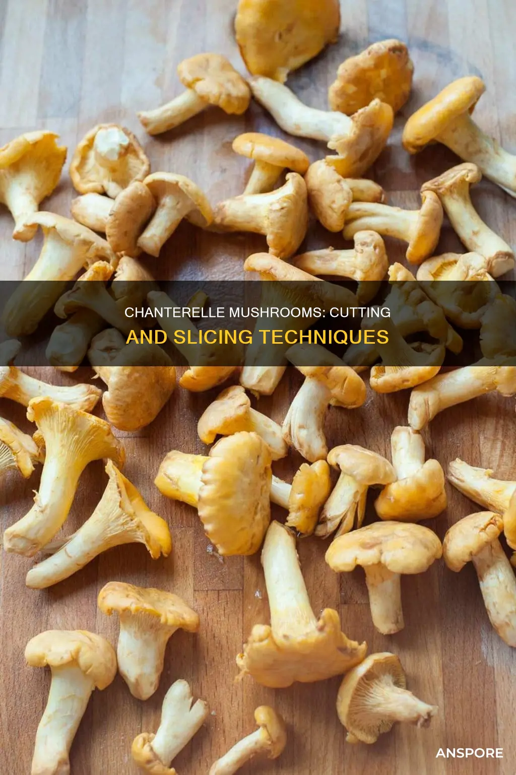 how to cut chanterelle mushrooms