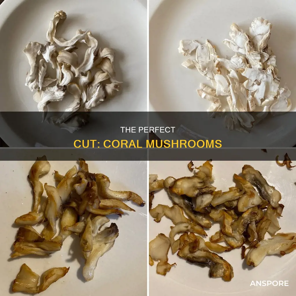 how to cut coral mushrooms