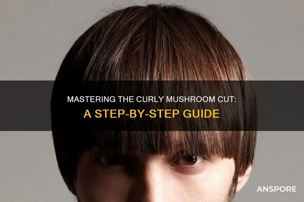 how to cut curly hair mushroom shape