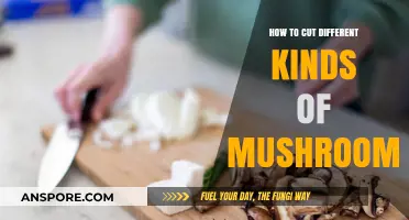 Mastering Mushroom Cutting: Techniques for Varieties and Perfect Slices