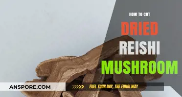 Mastering the Art of Cutting Dried Reishi Mushrooms: A Step-by-Step Guide