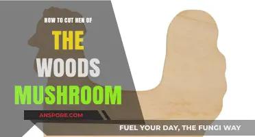 Mastering the Art of Cutting Hen of the Woods Mushrooms