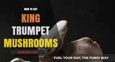 Mastering the Art of Cutting King Trumpet Mushrooms: A Step-by-Step Guide