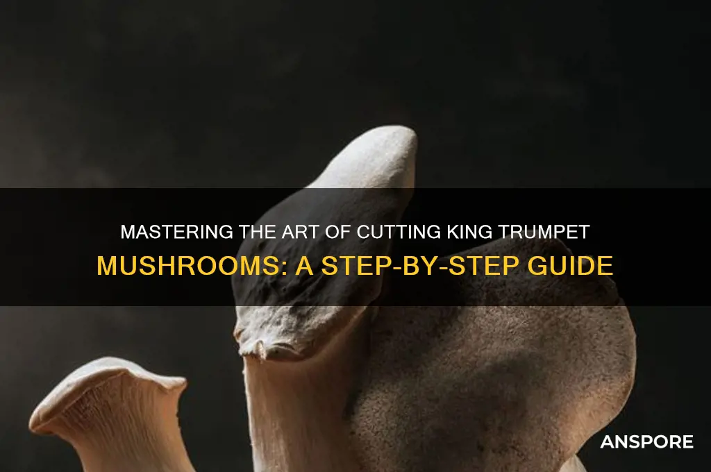 how to cut king trumpet mushrooms