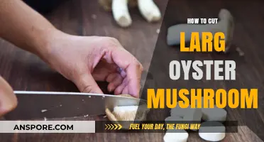 Mastering the Art of Cutting Large Oyster Mushrooms: A Step-by-Step Guide