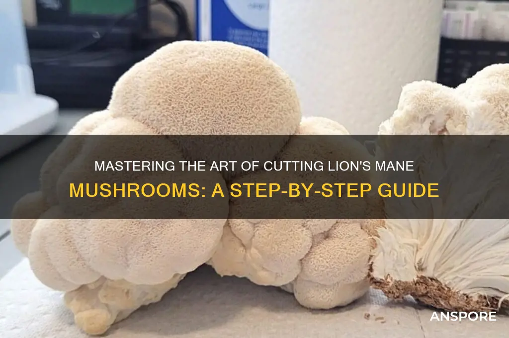 how to cut lion