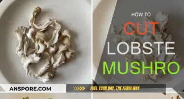 The Art of Cutting Lobster Mushrooms: A Simple Guide