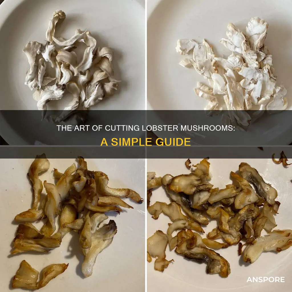 how to cut lobster mushrooms