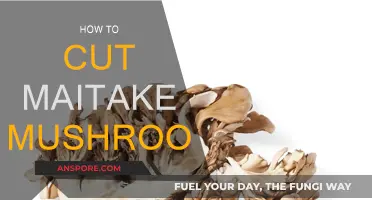 Cutting Maitake Mushrooms: The Right Way
