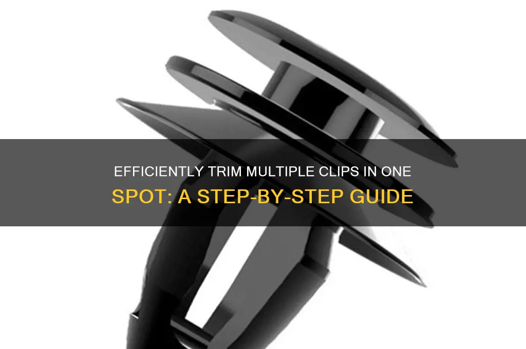 how to cut muliple clips in the same spor