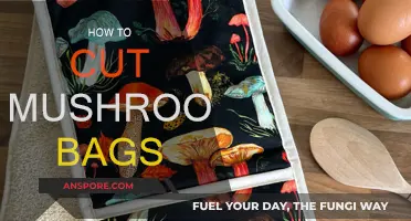 Cutting Mushroom Bags: The Right Way