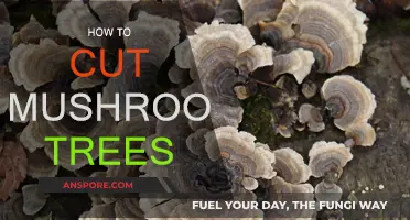 Pruning Mushroom Trees: A Step-by-Step Guide