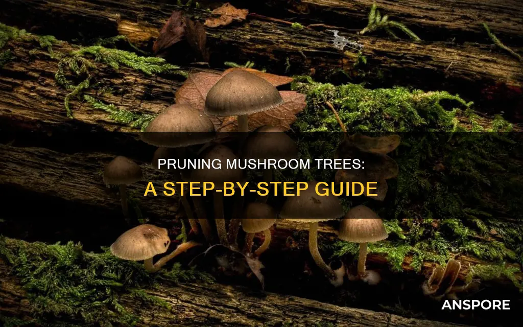 how to cut mushroom trees