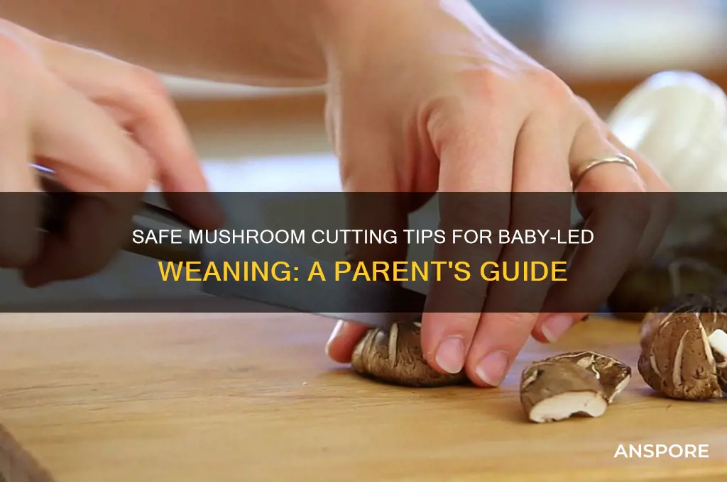 how to cut mushrooms for baby