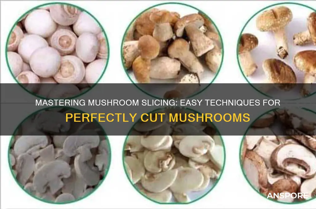 how to cut mushrooms into slices