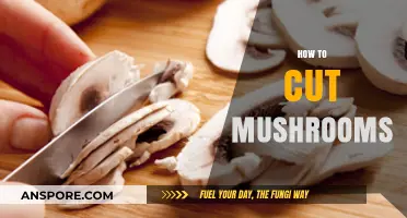 Cutting Mushrooms: The Right Way