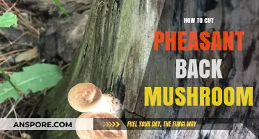 Mastering the Art of Cutting Pheasant Back Mushrooms: A Step-by-Step Guide