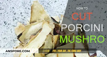The Best Way to Cut Porcini Mushrooms