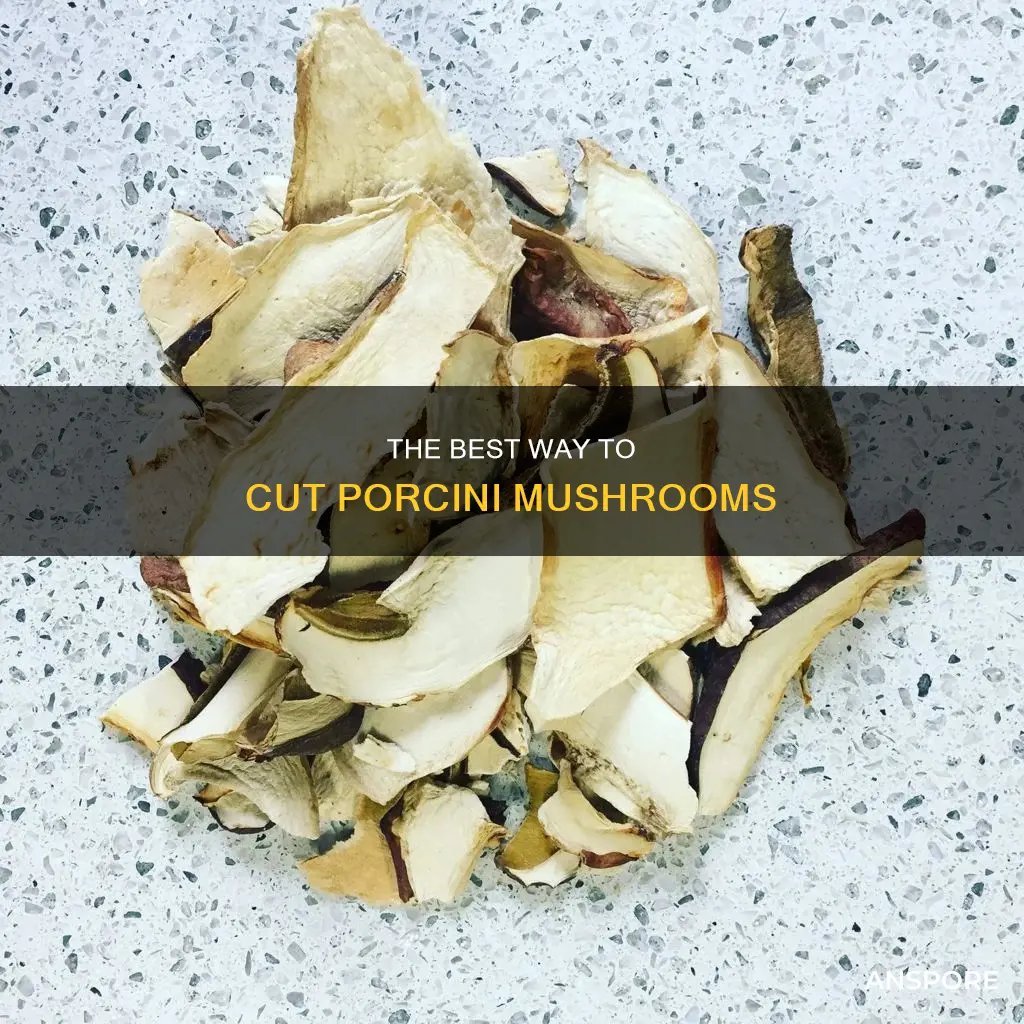 how to cut porcini mushroom