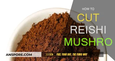 The Best Way to Cut Reishi Mushrooms