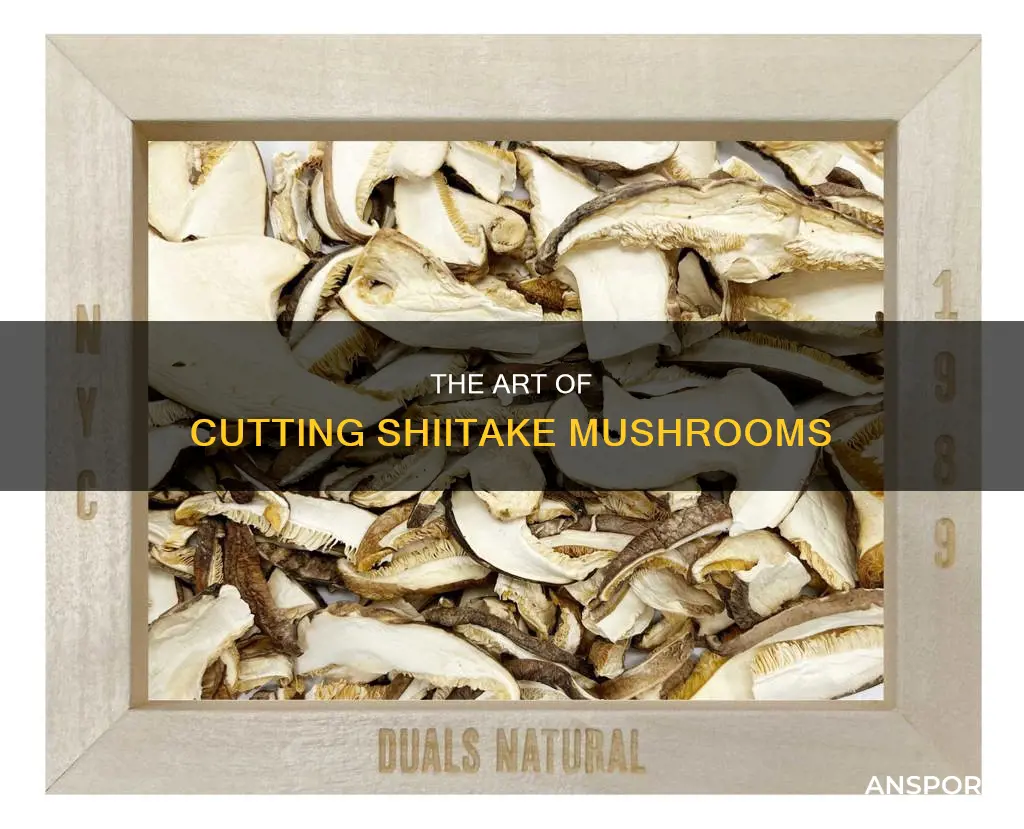 how to cut shiitake mushroom