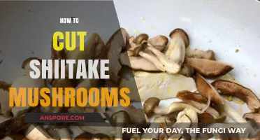 Slice Shiitake Like a Chef: Easy Techniques